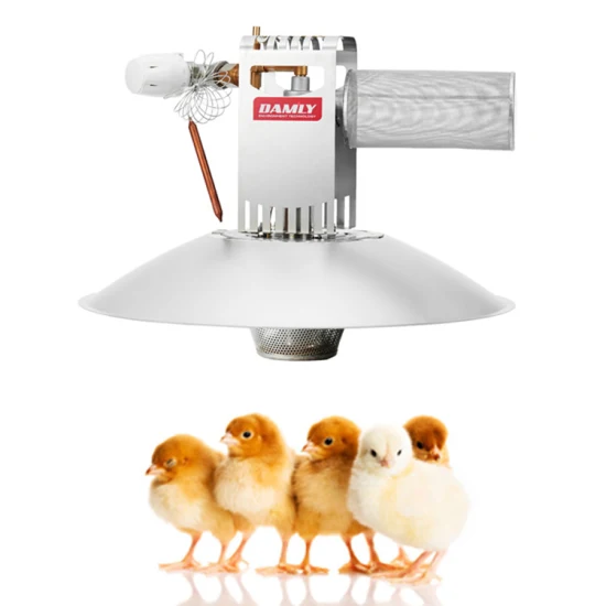 China Preço de fábrica Controle automático de temperatura Radiante Aquecedor de chocadeira de pintos com termostato para granja de aves