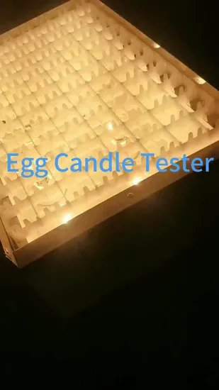 Caixa de ovos Dispositivo especial para ovos Tabela Testador de ovos de aves Velas