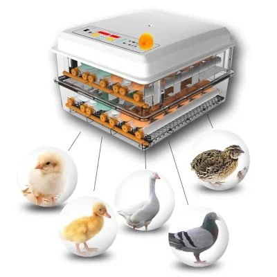 220V Incubadora de Ovos Incubadora de Pássaros Codorna Pintinho Incubadora Incubadora de Aves Incubadora Turner Automática Fazenda Ferramentas de Incubação UE/EUA