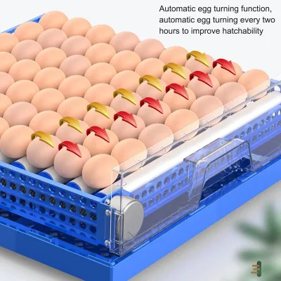 Incubadora de ovos de codorna totalmente automática mini galinha/pato/pombos incubadora de ovos de codorna 256