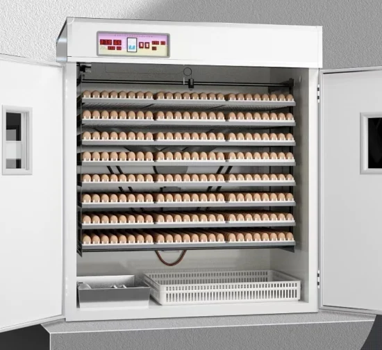 Equipamento para aves Mini incubadora de ovos pequenos Incubadora de pequena capacidade