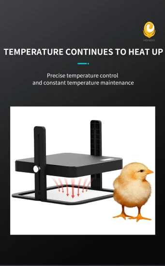 Nova chocadeira Wonegg para galinhas de 15 pintinhos