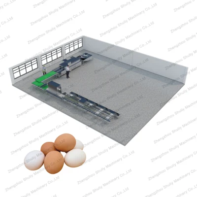 Preço de fábrica industrial 10000 PCS Lavagem automática de ovos, limpeza, secagem e classificação